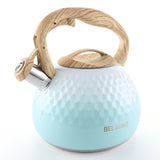 BELANKO™ 2.7 Quart Tea Kettle - Gradient Green
