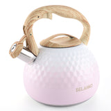 BELANKO™ 2.7 Quart Tea Kettle - Gradient Pink
