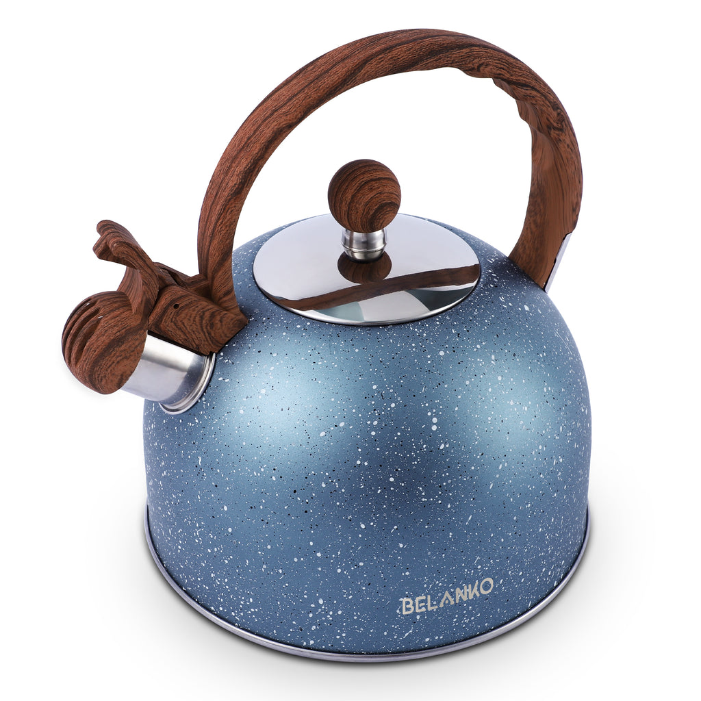 Whistling Kettle Sound Kettle Traveling Teapot Kettle with Wooden Handle  for Boiling Water for Tea , Light Green