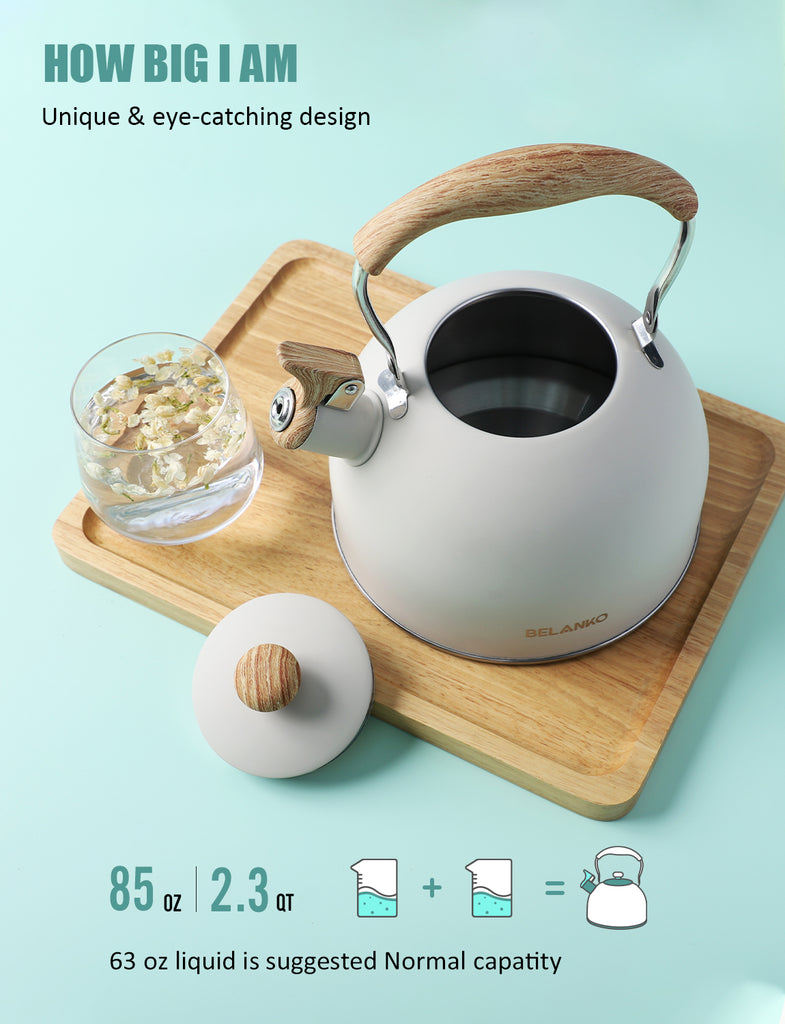 Whistling Tea Kettle for Stovetop, 3L Stainless Steel Tea Pot with  Ergonomic Folding Handle, Induction Kettles