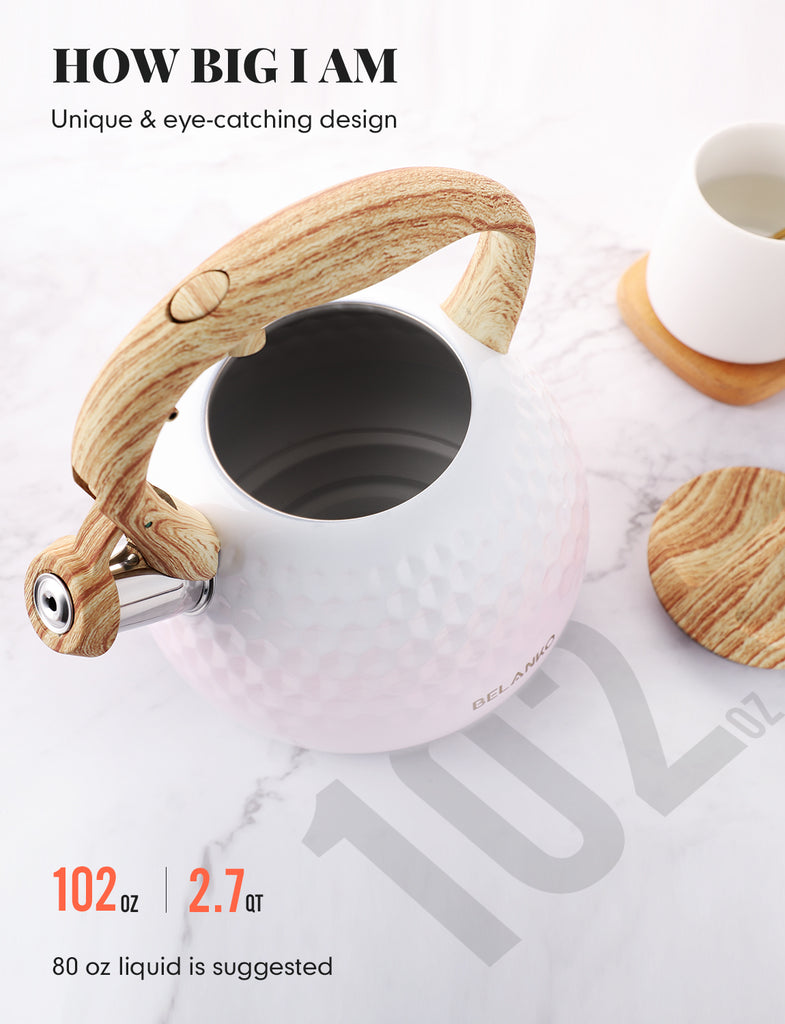 BELANKO™ 14 OZ Insulated Coffee Tumbler with Straw - Seafoam Green